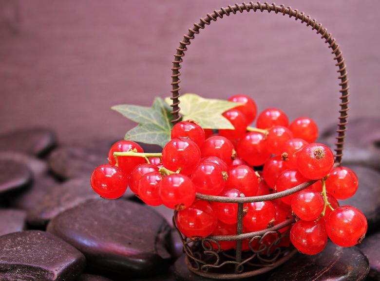 Free stock image of Fresh Currants created by Pixabay