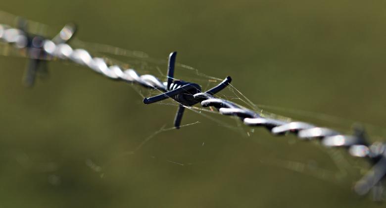 Free stock image of Barbed Wire created by Pixabay