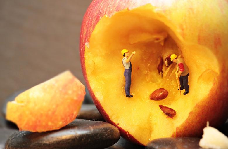 Free stock image of Peach Refurbishment created by Pixabay