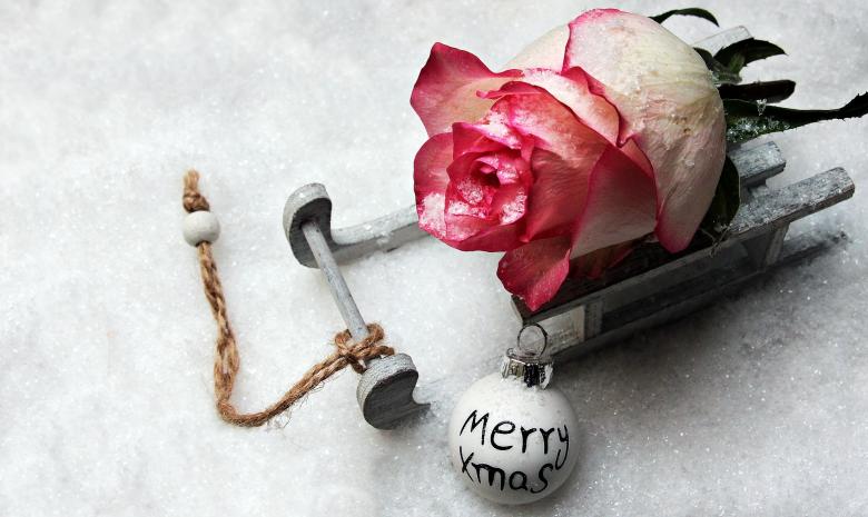Free stock image of On Christmas created by Pixabay