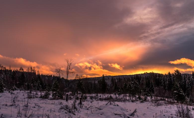 Free stock image of Idyllic Winter Sunrise created by invisiblepower