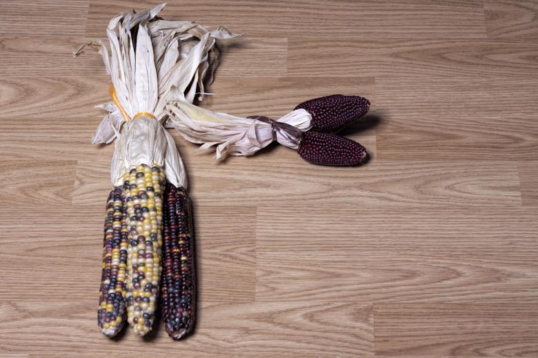 Free stock image of Corn created by Geoffrey Whiteway
