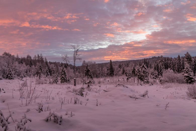 Free stock image of Winter Landscape in the Morning created by invisiblepower