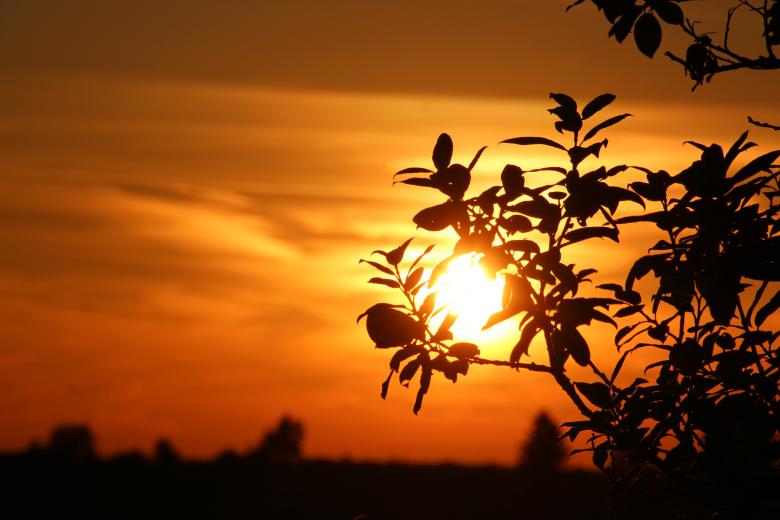 Free stock image of Sunset created by Pixabay