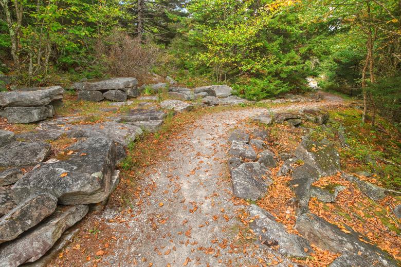 Free stock image of Spruce Knob Autumn Rock Trail - HDR created by Nicolas Raymond