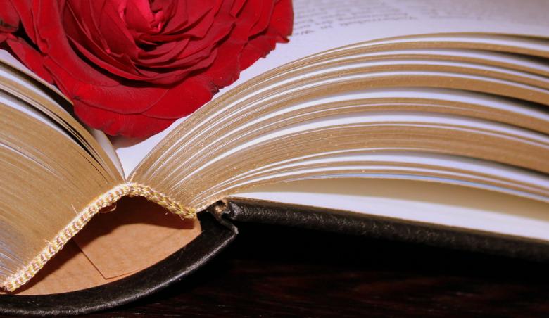Free stock image of Rose in the Book created by Pixabay