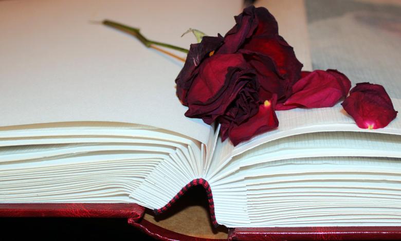 Free stock image of Dried Rose created by Pixabay