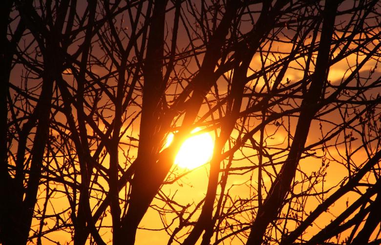 Free stock image of Sunset created by Pixabay