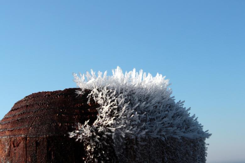 Free stock image of Frost on Wood Pole created by Pixabay