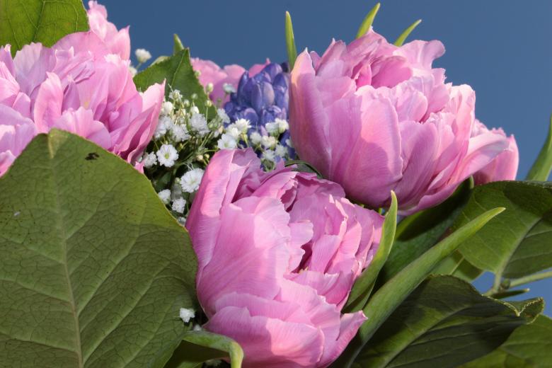 Free stock image of Flower Bouquet created by Pixabay