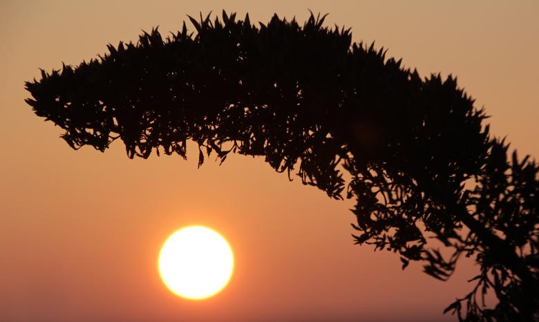 Free stock image of Sunset  created by Pixabay
