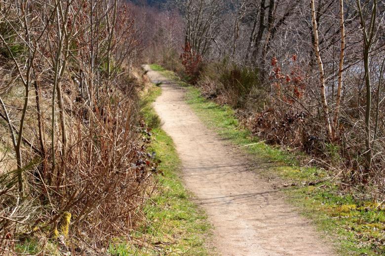 Free stock image of Wild Route created by Pixabay