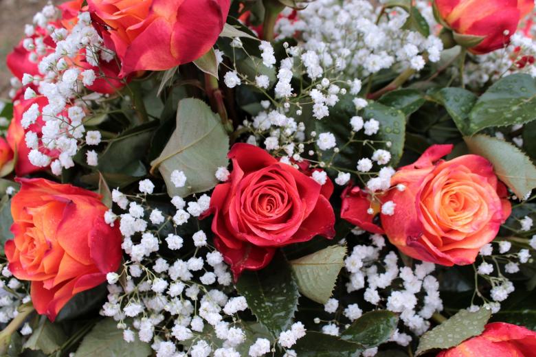 Free stock image of Bouquet of Roses created by Pixabay