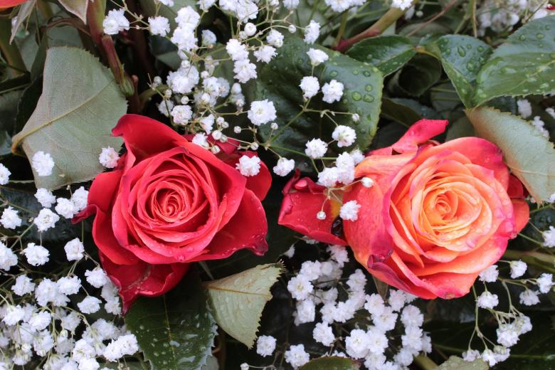Free stock image of Bouquet of Roses created by Pixabay
