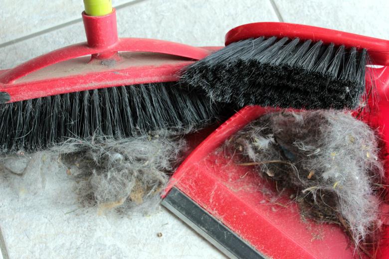 Free stock image of Sweeping with Broom created by Pixabay