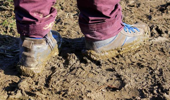 Free Stock Photo of Work in the Mud