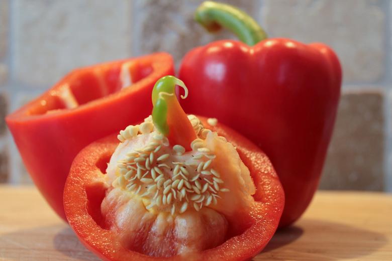 Free stock image of Macro Paprika created by Pixabay