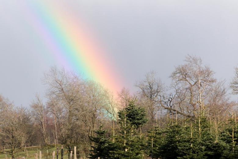 Free stock image of Colors of Nature created by Pixabay
