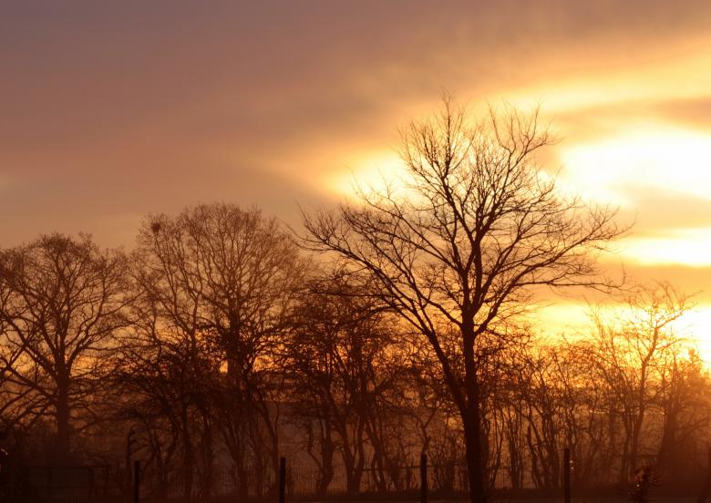 Free stock image of Sunset  created by Pixabay