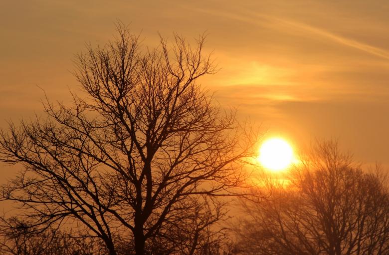 Free stock image of Sunset  created by Pixabay