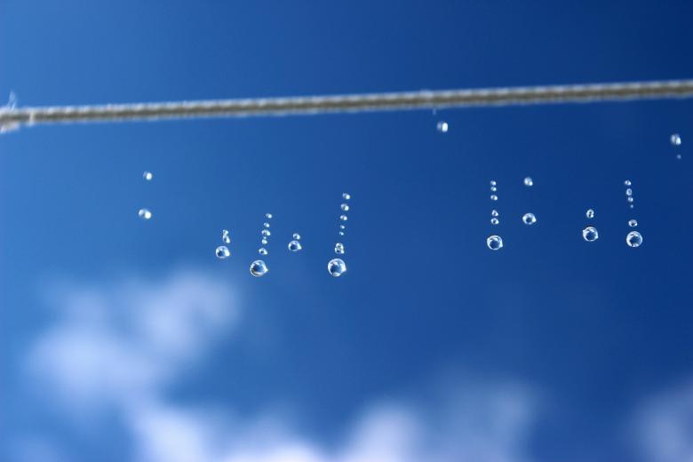 Free stock image of Fallen Drops created by Pixabay