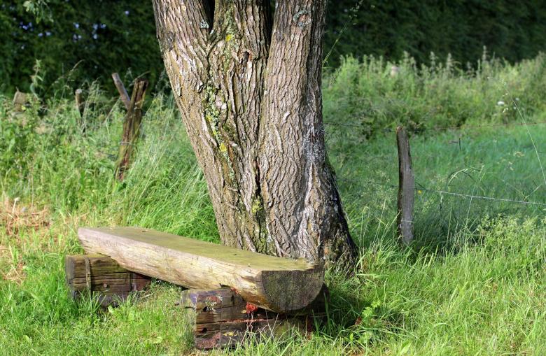 Free stock image of In the Park created by Pixabay