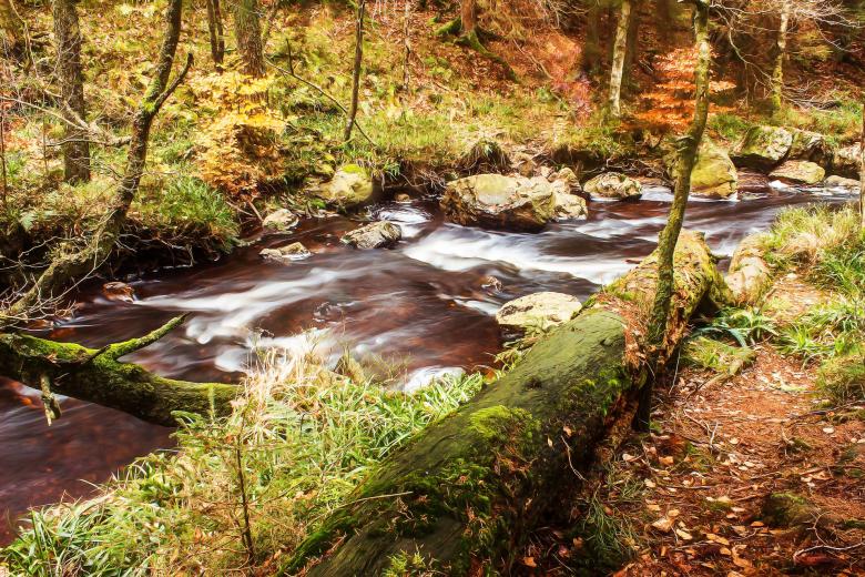 Free stock image of Running Water created by Pixabay