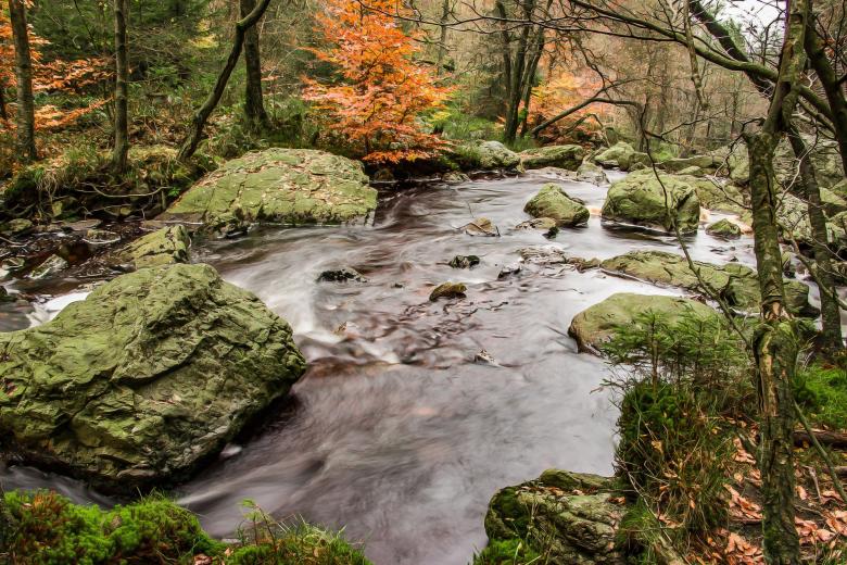 Free stock image of Running Water created by Pixabay