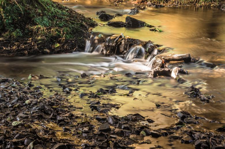 Free stock image of Wild Waterfall created by Pixabay