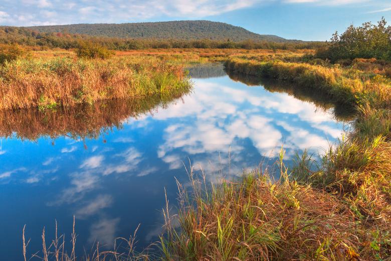 Free stock image of Winding Blackwater River - HDR created by Nicolas Raymond