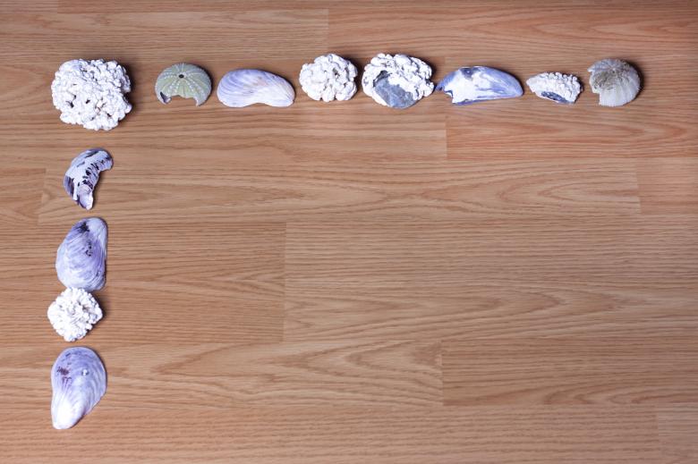 Free stock image of Seashells on Wood created by Geoffrey Whiteway