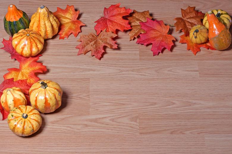 Free stock image of Gourds and Leaves created by Geoffrey Whiteway