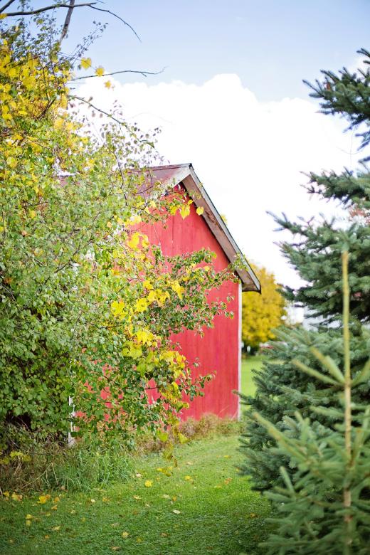 Free stock image of Wooden Barn created by Pixabay