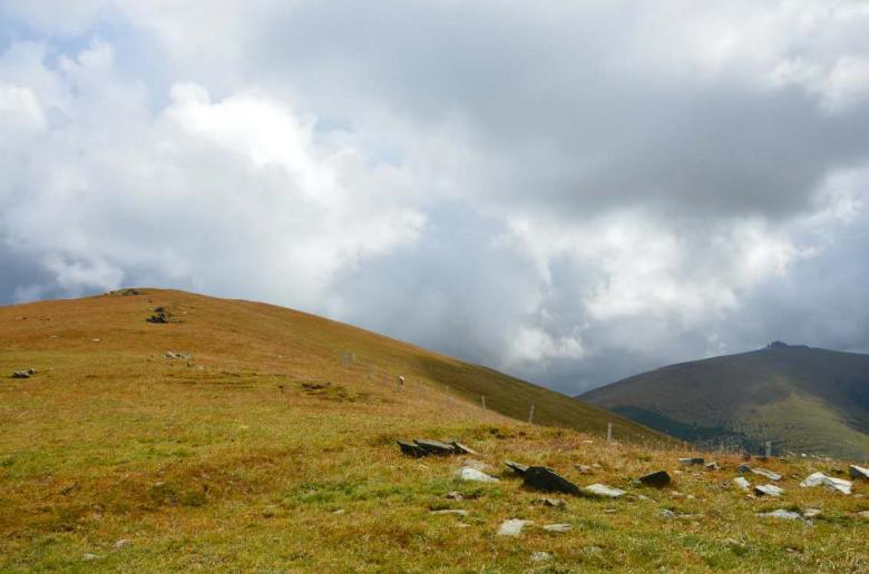 Free stock image of China's Grasslands created by kayt