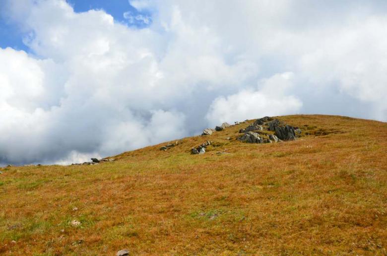 Free stock image of Grasslands of China created by kayt