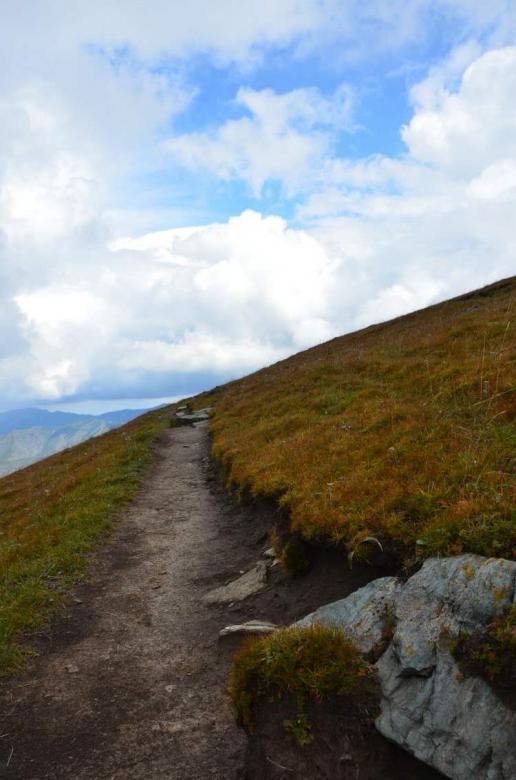 Free stock image of Path Though the Grasslands created by kayt