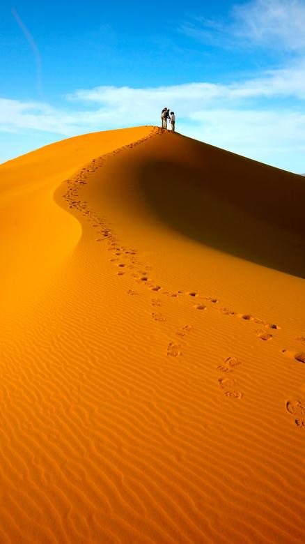 Free stock image of On Top of the Dunes created by kayt
