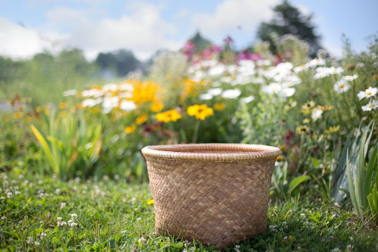 Free stock image of Basket in the Garden created by Pixabay