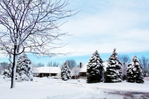 Free Stock Photo of Snowy Neighborhood