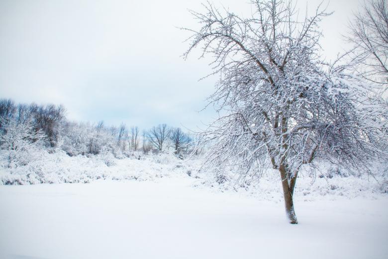 Free stock image of Frozen Ground created by Pixabay
