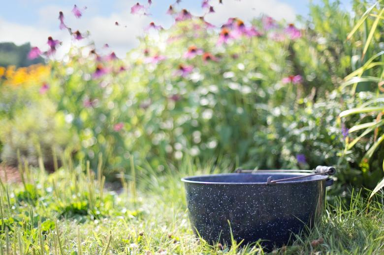 Free stock image of Pottery in the Garden created by Pixabay