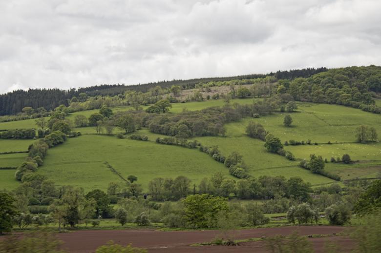 Free stock image of Grasslands created by Geoffrey Whiteway
