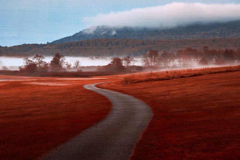 Free stock image of Misty Dawn Golf Course - Red Carpet Fantasy created by Nicolas Raymond