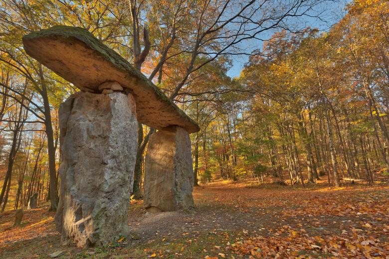 Free stock image of Autumn Megalith Forest - HDR created by Nicolas Raymond