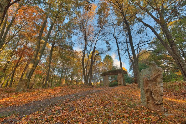Free stock image of Autumn Megalith Forest Trail - HDR created by Nicolas Raymond