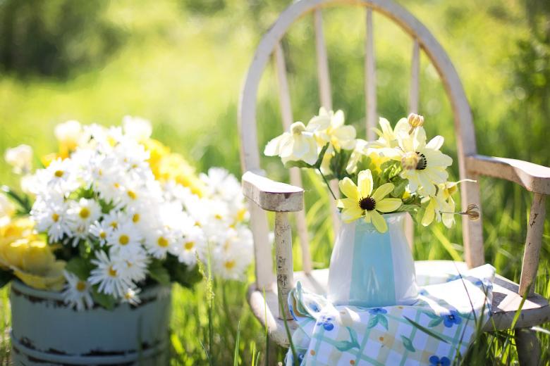 Free stock image of Flower Pot created by Pixabay