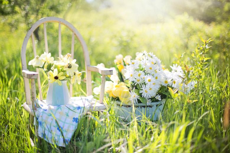 Free stock image of In Summer created by Pixabay