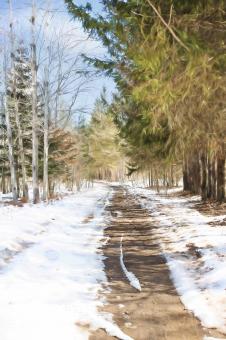 Free Stock Photo of Frozen Path