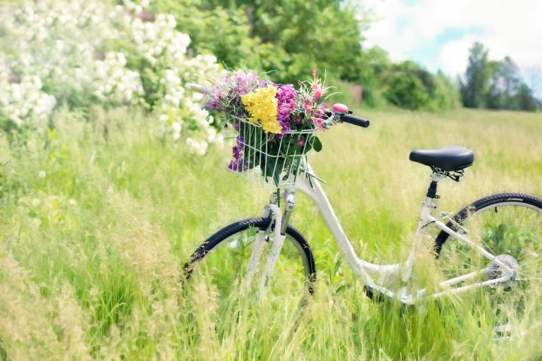 Free stock image of Bicycle in the Field created by Pixabay