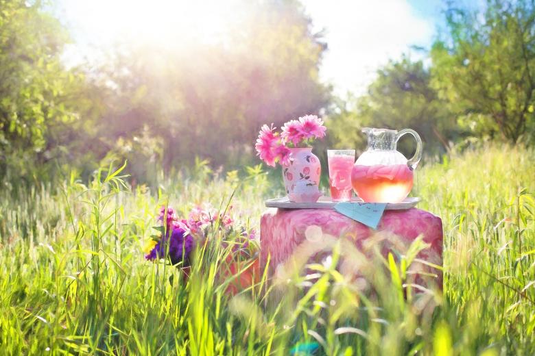 Free stock image of Pink Lemonade created by Pixabay
